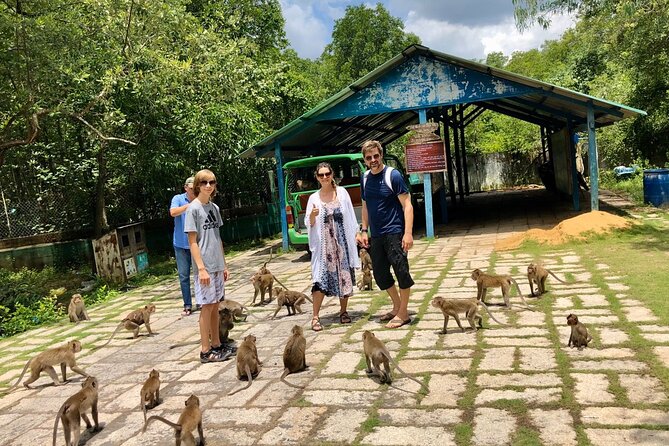 1-Day Can Gio Island-Mangrove Biosphere Reserve-Trekking - Hang Duong Market tropical fruit tasting to end the day