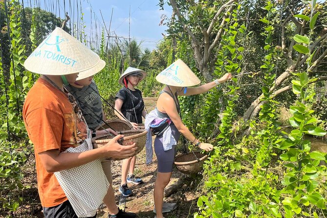 1-Day Explore Non-Touristy Side Of Mekong Delta- Group 10 Max - Ut Trinh Homestay lunch: where the day slows down