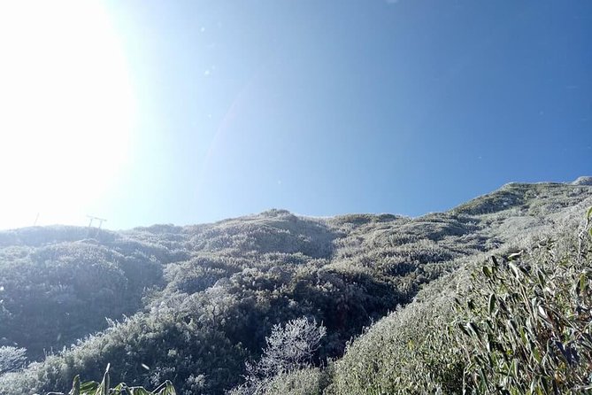 1 day Fansipan Trekking - Price and Value: What $80 Buys You in a Long Mountain Day