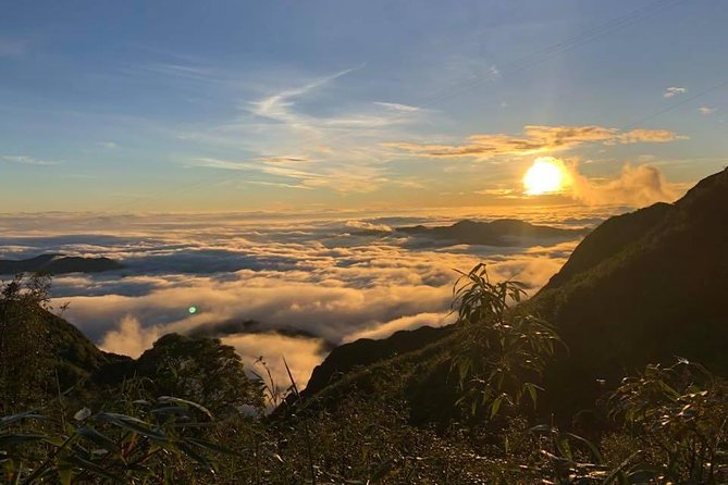 1 day Fansipan Trekking - Cable Car or Hike Down: Your Choice for the Final Hours