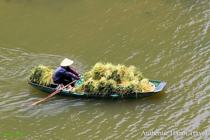 1 Day Luxury Ninh Binh Tour with Many Options From Hanoi - Price and logistics: where the $45 value really comes from
