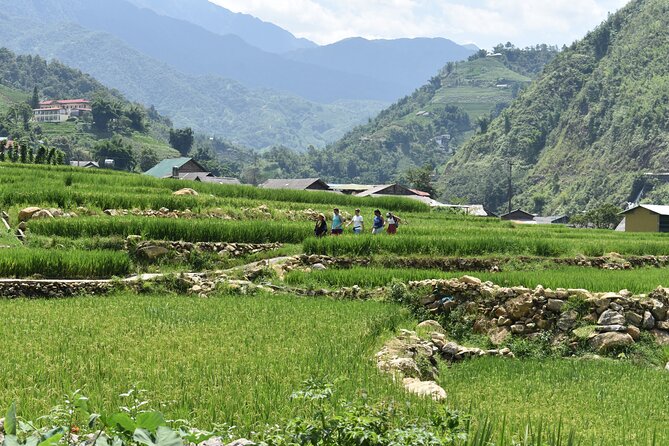 1-Day Private Trekking in Sapa through Terraces Rice Fields - Stop 1: Y Linh Ho Village and the Quiet Side of Sapa