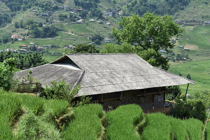 1-Day Private Trekking in Sapa through Terraces Rice Fields - Stop 3: Ta Van Village, Muong Hoa Stream Views, and Ethnic Variety