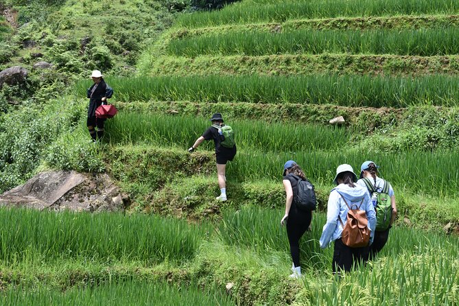 1-Day Private Trekking in Sapa through Terraces Rice Fields - Lunch, Vegetarian Options, and How to Plan Your Food