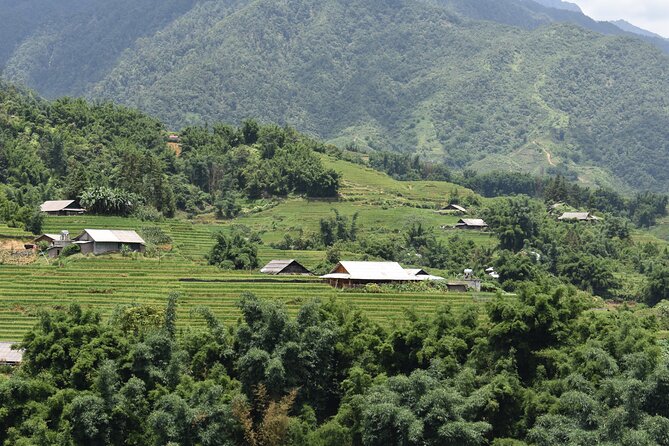 1-Day Private Trekking in Sapa through Terraces Rice Fields - Pickup, Timing, and the Easiest Way to Start