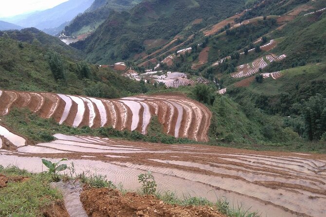 1 Day Sapa Authentic Trekking ( off beaten track ) - The 9:00 AM Start and How the Timing Feels on the Ground