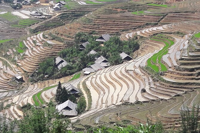 1 Day Sapa Authentic Trekking ( off beaten track ) - The Corn Fields and Black Limestone Shift