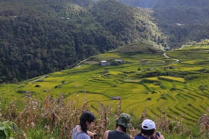 1 Day Sapa Authentic Trekking ( off beaten track ) - Easier vs. Harder Track Options: Choose Based on Energy