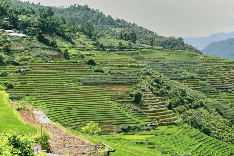 1-Day Sapa Long Trek - Rice Field Terrace, Ethnic Culture - Tips to Get the Best Day: What to Do Before and During the Hike