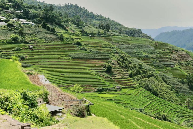 1-Day Sapa Long Trek - Rice Field Terrace, Ethnic Culture - Lao Chai Sang Lunch: Home-Cooked Hmong Food That Actually Feels Local