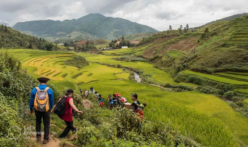 1-Day Sapa Long Trek - Rice Field Terrace, Ethnic Culture - Muong Hoa Valley Rice Terraces: The Walk That Feels Like Time Slowing Down