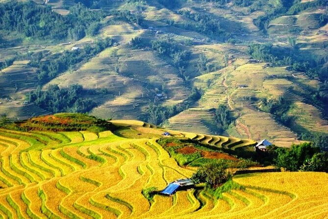 1 Day Sapa Tour Explore Y Linh Ho And Lao Chai And Ta Van Village - Ta Van Village: Time to Meet Both Communities and Enjoy Lunch