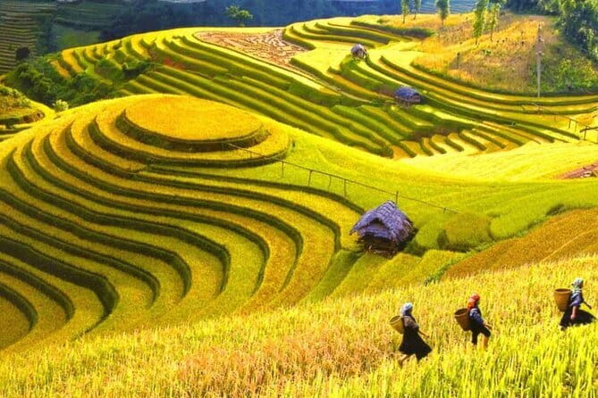 1 Day Sapa Tour Explore Y Linh Ho And Lao Chai And Ta Van Village - Start in Sapa Town: The 8:00 AM Pickup Rhythm