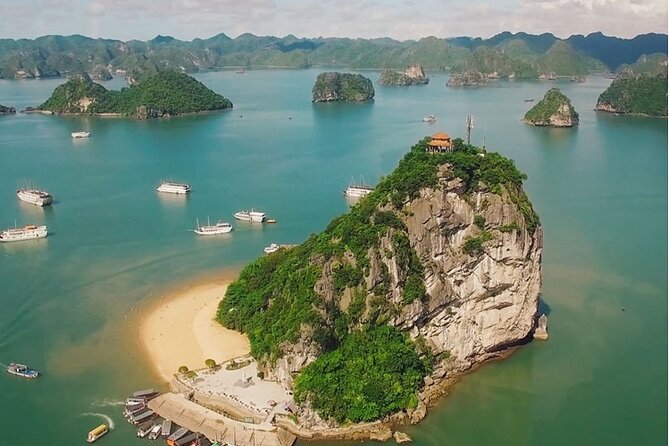 1 Day Tour to Halong Bay Cruise from 3 - 5 star Cruise & Transfer - Sung Sot Cave: The Big Limestone Stop in an Hour