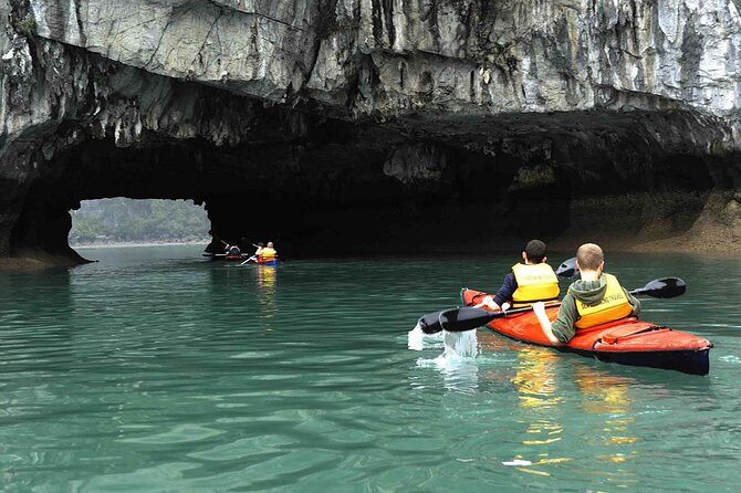 1 Day Tour to Halong Bay Cruise from 3 - 5 star Cruise & Transfer - Hang Luon Cave Area: Kayak or Bamboo Boat (Optional, Not Included)
