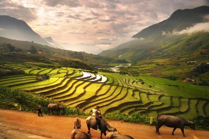 15-Day Majestic Vietnam FULL Package - 68% OFF + Bonuses - Two village days in Sapa: Lao Chai and Ta Van for terraced views