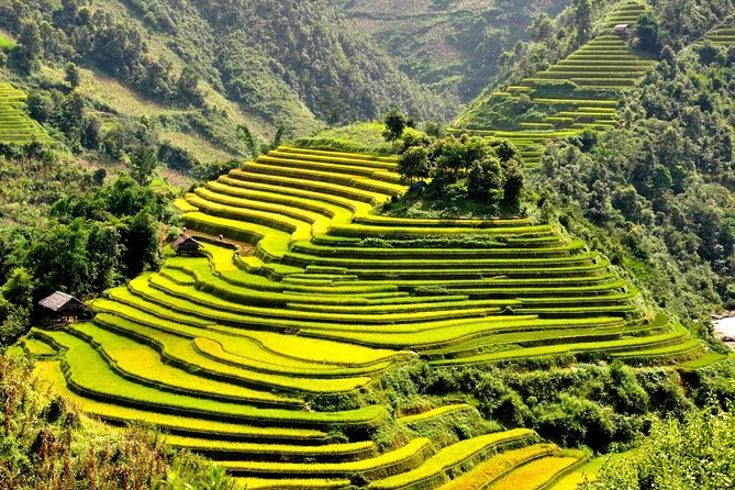 15-Day Majestic Vietnam FULL Package - 68% OFF + Bonuses - Hoi An Ancient Town on your terms: bikes, rickshaws, and slow wandering