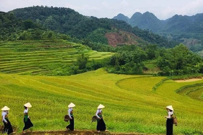 15-Day Vietnam Itinerary All in One | Travel Package 2026-2027 - First impressions: what this Vietnam package really does for you