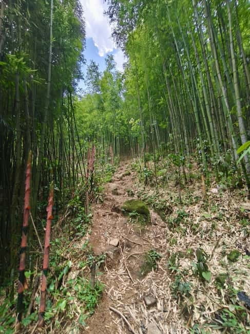 2-Day 1-Night Tour: Explore Sa Pa Villages & Ethnic Culture - The pace: 2 days, 1 night, about 19 km on uneven trails