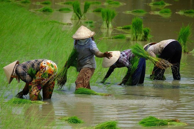 2-Day Mekong Delta and Floating Markets Private Tour - Cai Rang Floating Market at First Light: What to Expect and How to Enjoy It
