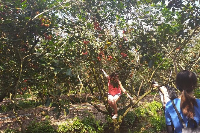 2-Day Mekong Delta with Cai Cang Floating Market from HCM City - Boat trip, biking, and kayaking: the activities are the point