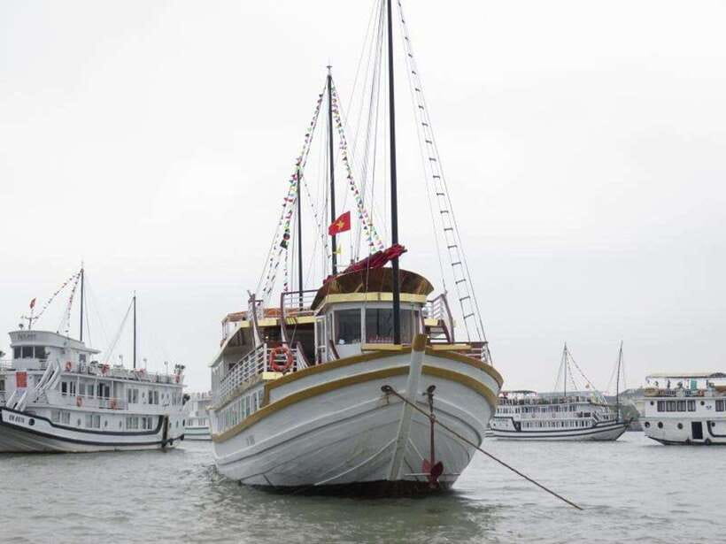 2-Day Peaceful in Bai Tu Long Bay with Luxury Cruise - Price and logistics: what $126 actually buys you