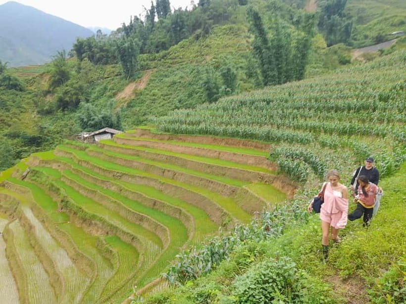 2-Day Sa Pa Ethnic Homestay Tour & Trek with Limousine Bus - Price and Value: Does This Two-Day Setup Make Sense?