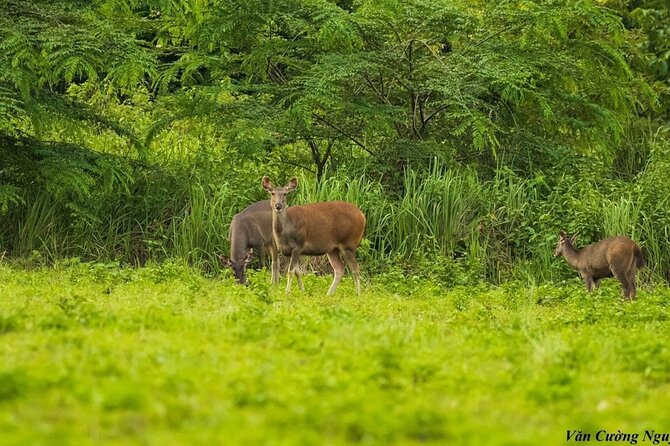 2-Day Trekking & Biking Nam Cat Tien National Park from HCM City - Day 2 cycling through peaceful forest toward Ta Lai Long House