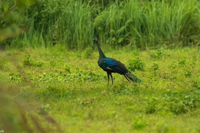 2-Day Trekking & Biking Nam Cat Tien National Park from HCM City - Who should book this 2-day Cat Tien trekking and biking trip