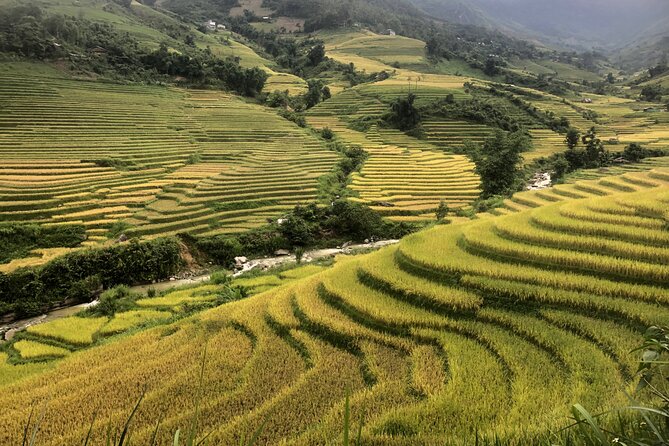 2 Day Trekking Experience: Explore with knowledgeable local guide - Day 1: Sapa Start and the Muong Hoa Valley 16 km Walk