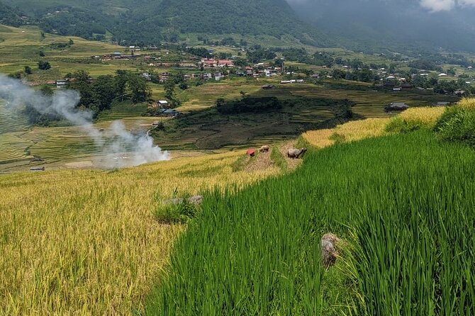 2 Day Trekking Experience: Explore with knowledgeable local guide - What to Pack and How to Stay Comfortable