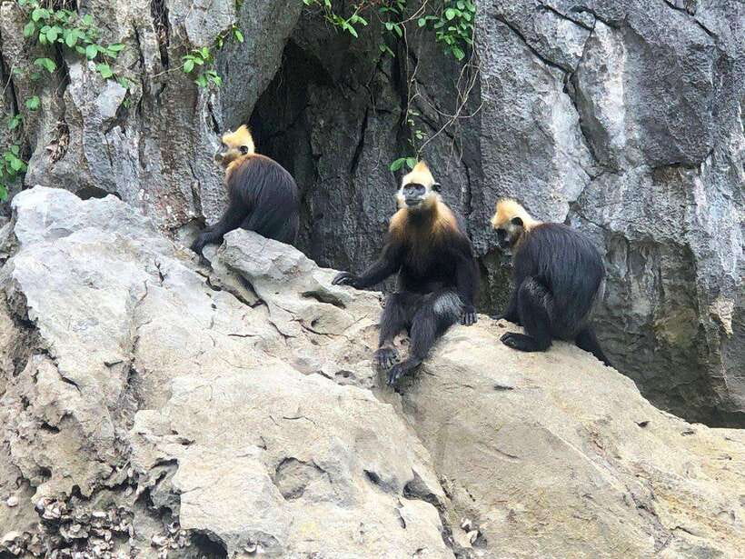 2 Days 1 Night Adventure: Cat Ba National Park, Lan Ha Bay - Price and value: is $187 fair for what you get?