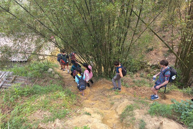 2 Days and 1 Night Sa Pa Trekking - Sapa town and your homestay stop: what to expect