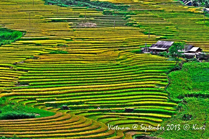 2 days authentic trekking tour in Sapa ( Homestay - Less touristy ) - The homestay night in a traditional wooden house