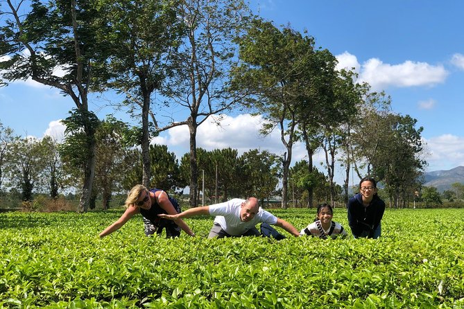2 Days Motorbike Tour From Mui Ne To Da Lat Or Vice Versa - Price and value: what $69 really buys you here