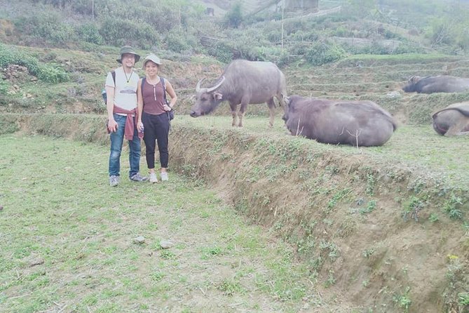 2 days private Wildland Trek in Sapa - Why the rice terraces and fewer-tourist trails matter