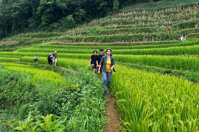 2 days private Wildland Trek in Sapa - The right kind of fitness and the weather that makes it work