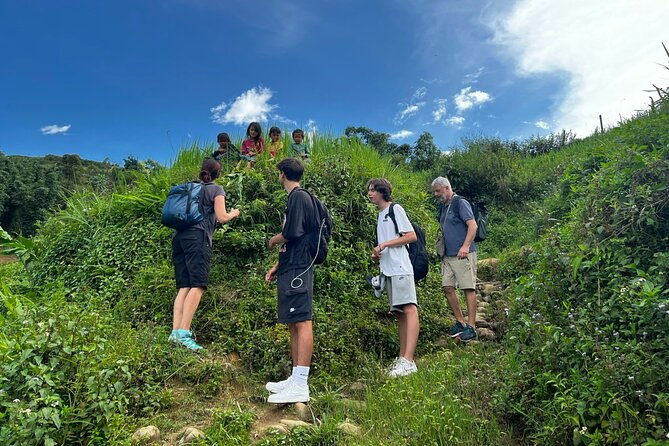 2 days private Wildland Trek in Sapa - Day 1 in Ta Phìn: forests, rice terraces, and a waterfall picnic