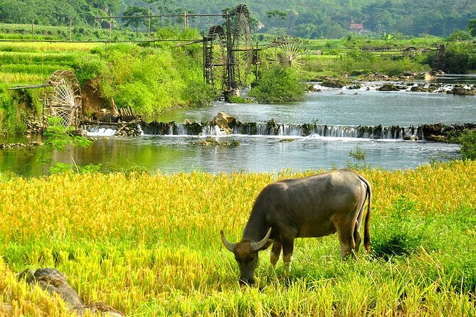2 Days Pu Luong Offbeat Trekking Best for Mountain Lovers - Don village and Gateway Inn: your stilt-house base