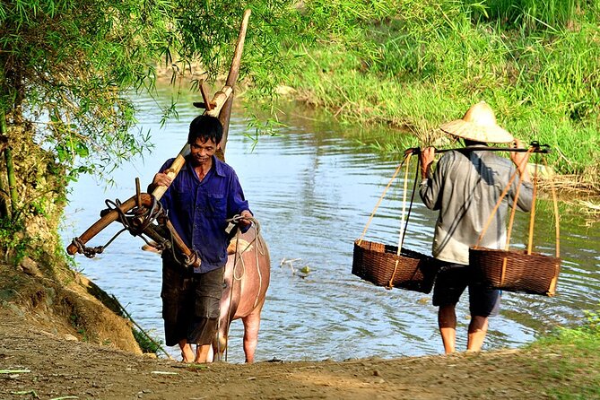 2 Days Pu Luong Offbeat Trekking Best for Mountain Lovers - Rice-field loop, herb stories, and finishing with a return to Hanoi