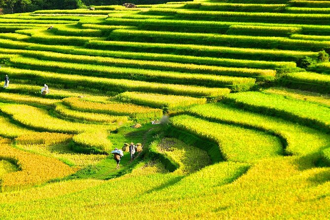 2 Days Pu Luong Offbeat Trekking Best for Mountain Lovers - Price and value: what $148.39 gets you in the real world