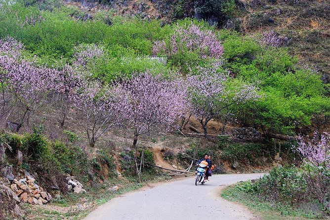 2 Days Sapa Trekking In Cat Cat And Ta Van Village From Hanoi - Hotel night in Sapa: included sleep with real-world comfort tradeoffs