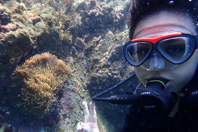 2 Fun Dives for certified Divers - Price and Value: Is $88 a Fair Deal?