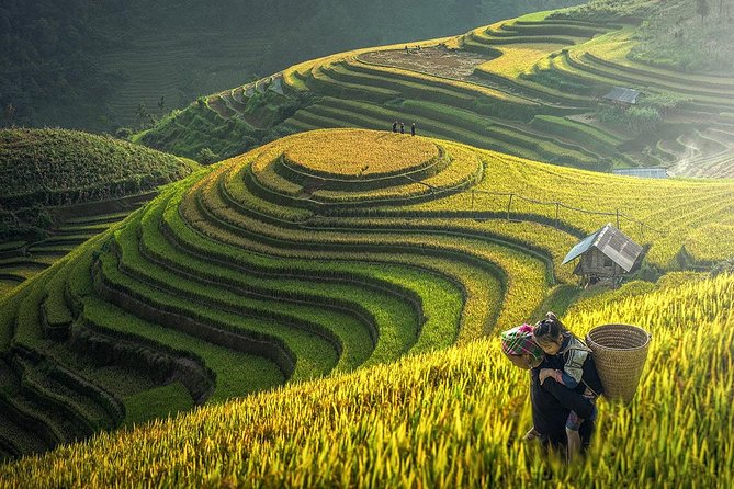 2-Night Sapa Tour with Fansipan Peak by Bus from Hanoi - Sapa Morning Setup: breakfast, rest, and getting your feet under you