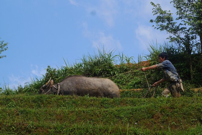 2D1N Buffalo trek by Hmong Sister House and Trekking - Private group energy (and why it matters on a trek)