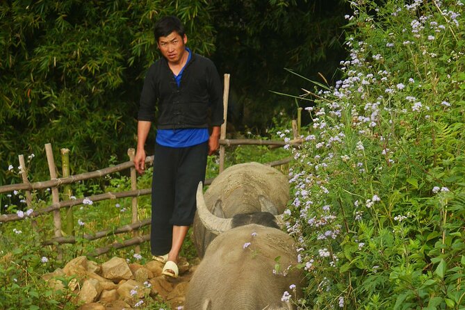 2D1N Buffalo trek by Hmong Sister House and Trekking - Pickup, start window, and how to avoid first-day stress