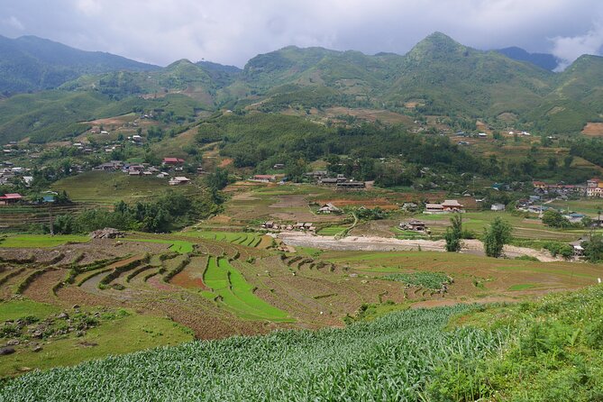 2D1N Buffalo trek by Hmong Sister House and Trekking - Who should book this trek (and who should think twice)