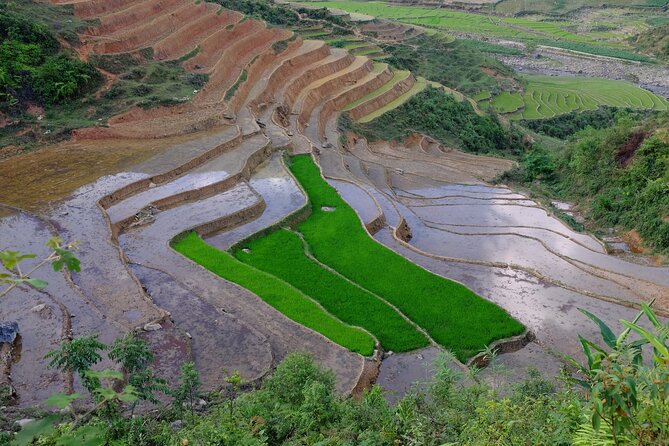 2D1N Buffalo trek by Hmong Sister House and Trekking - Day 1: 7am pickup, luggage drop at Zizi homestay, and a real start