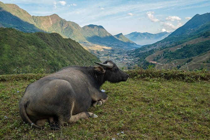 3 Day 2 Night Trek - Day 1: Y Linh Ho, Lao Chai, Muong Hoa Stream, then a Dzay homestay sunset