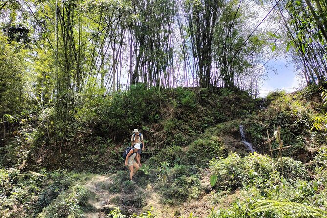 3-Day Trek in Amazing Muong Hoa Valley & ethnic Homestay - Muong Hoa Valley: why this route feels different in Sapa